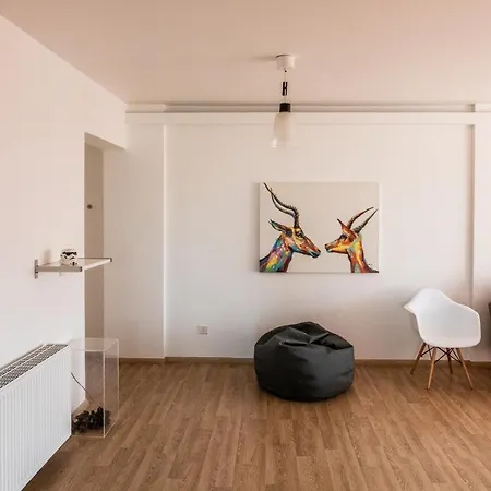 Luxury Flat Close To Universities And City Centre